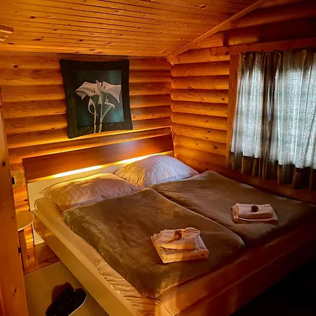 Tiroler Blockhaus امست